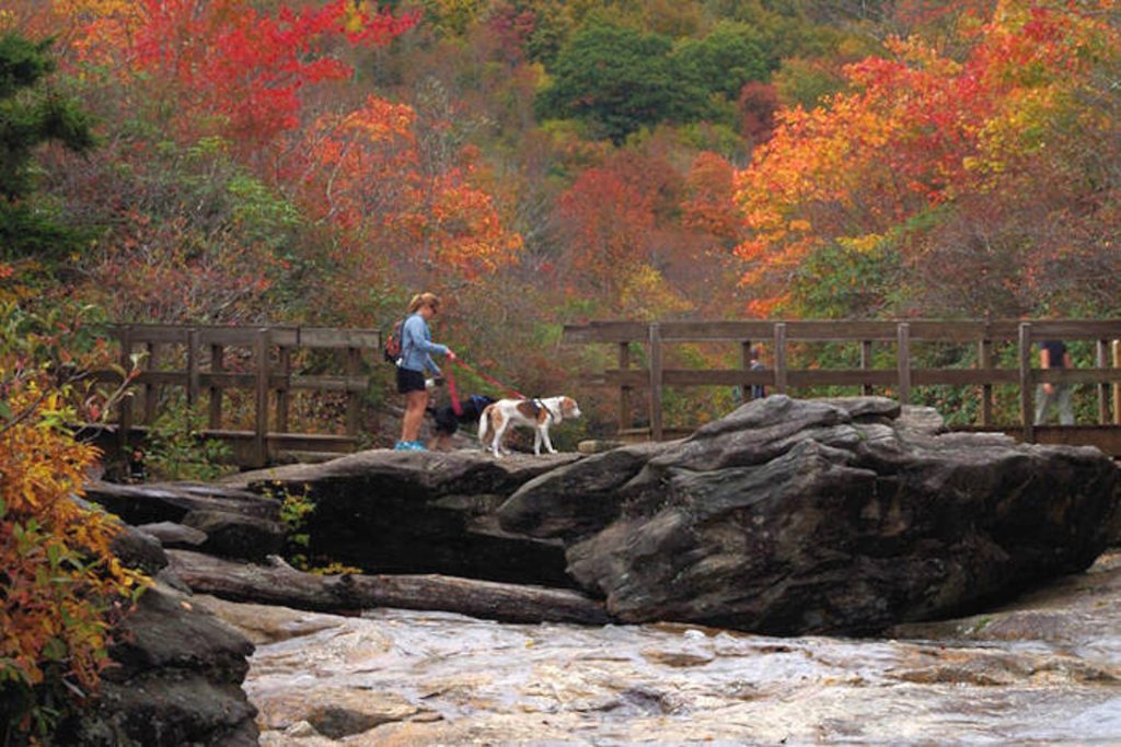 Fall Color on the Highlands-Cashiers Plateau